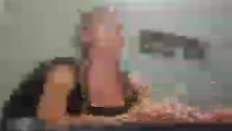 MamaMorgan online show from 07-27-26, 06:59