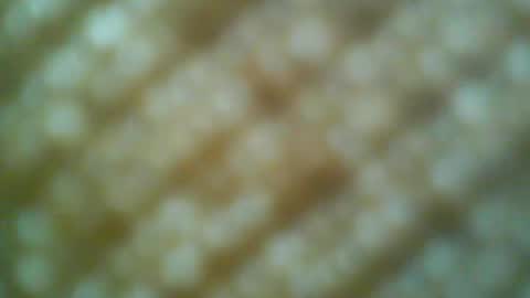 Motto Motto online show from 05-31-26, 06:31