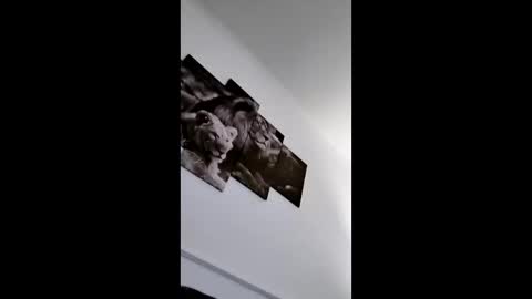 Snapshot of bobby160968 chatting on 01-08-26, 06:43 bobby160968 online show from 01-08-26, 06:43