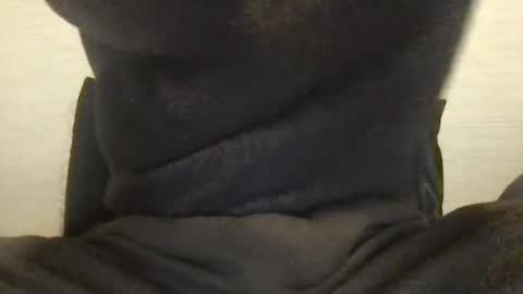 boblight221 online show from 01-09-25, 09:58