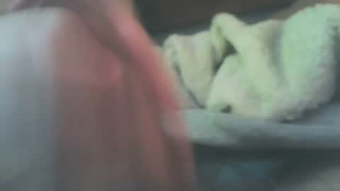 Snapshot of bobsnotcut chatting on 06-20-26, 10:56 bobsnotcut online show from 06-20-26, 10:56