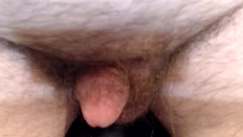 bobswan online show from 04-13-26, 06:35