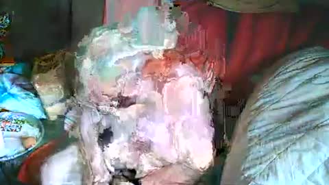 Bomber59potsdam online show from 03-02-25, 10:35