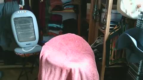 Snapshot of bombero5656 chatting on 12-15-25, 03:16 Bombero56 online show from 12-15-25, 03:16