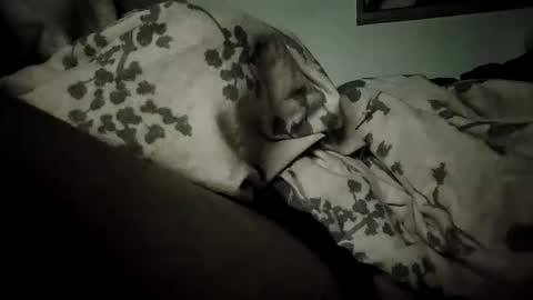 Snapshot of bomberto33 chatting on 02-19-26, 09:11 Bomberto online show from 02-19-26, 09:11