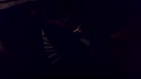 Bonkooooo online show from 02-08-26, 04:27