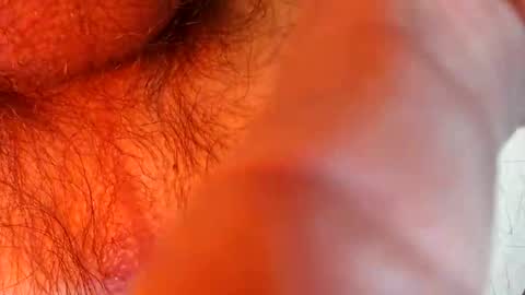 bonnie312 online show from 09-18-25, 04:09