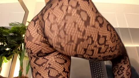 Snapshot of bonnie_bloom chatting on 01-03-25, 11:23 Bonnie online show from 01-03-25, 11:23