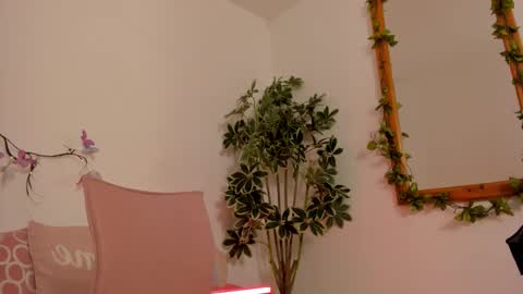   online show from 10-23-25, 12:32