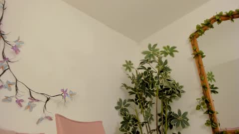   online show from 11-27-25, 11:51