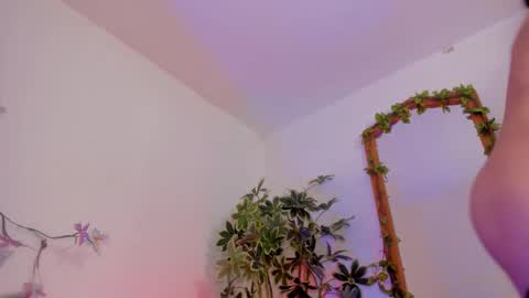   online show from 02-03-26, 02:53