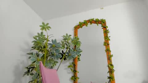   online show from 02-25-26, 11:36