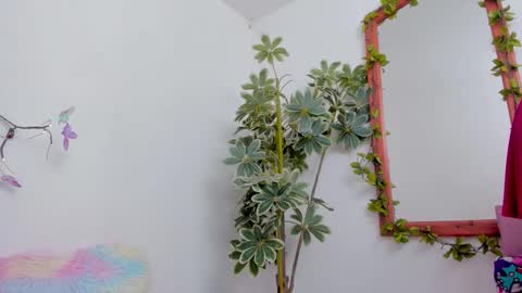   online show from 03-22-26, 11:30