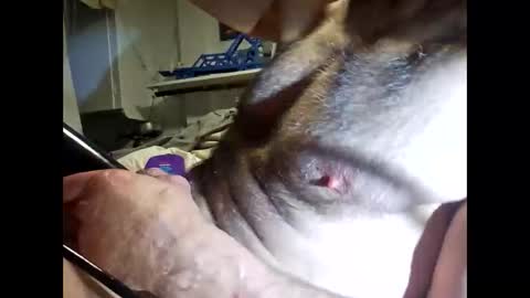 bonop1 online show from 03-19-26, 10:19