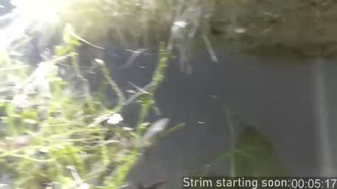 Booker Baxton online show from 11-27-25, 04:03