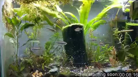 Booker Baxton online show from 12-23-25, 03:59