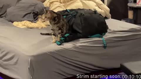 Booker Baxton online show from 02-25-26, 04:00