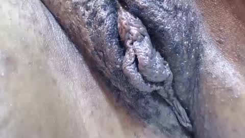 bootybounce4 online show from 12-09-24, 12:34