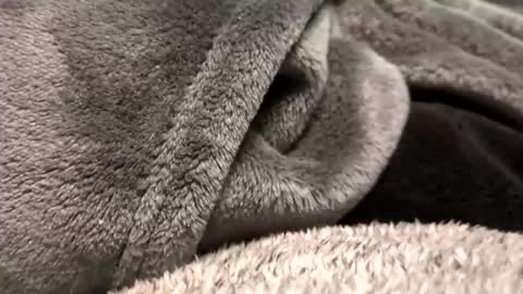 Borderslad1101 online show from 11-23-25, 03:56