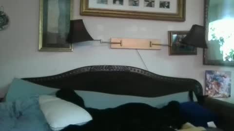 boredaf6678 online show from 12-16-24, 10:50