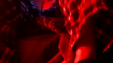 boredaf6678 online show from 02-01-25, 06:32