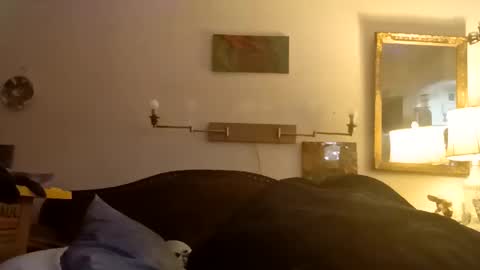 boredaf6678 online show from 12-16-25, 01:10