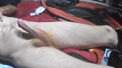 bornwild13 online show from 11-11-25, 10:37