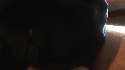 bossram160 online show from 03-06-25, 09:36