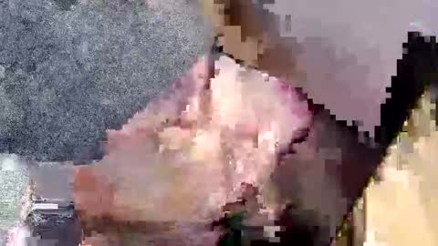 bossram160 online show from 09-27-25, 07:52