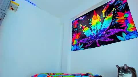 Edward ftm trans queerslave online show from 02-03-26, 06:46