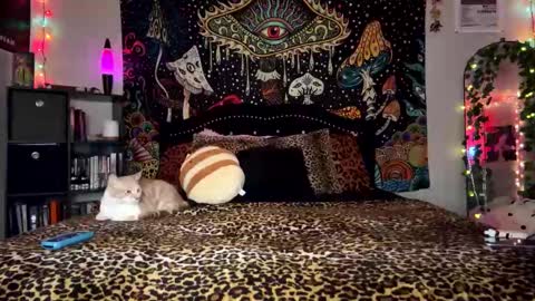 Snapshot of boysdroollx chatting on 12-28-24, 03:26 Puddin online show from 12-28-24, 03:26