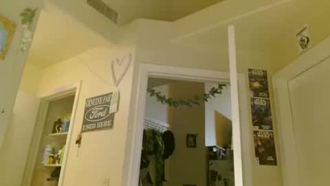 Snapshot of braindeadbetty chatting on 05-06-26, 02:19 i am a naughty jedi knight online show from 05-06-26, 02:19