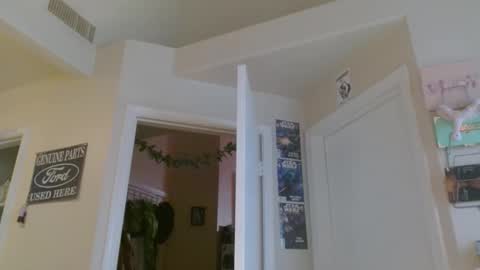 Snapshot of braindeadbetty chatting on 05-30-26, 01:14 i am a naughty jedi knight online show from 05-30-26, 01:14
