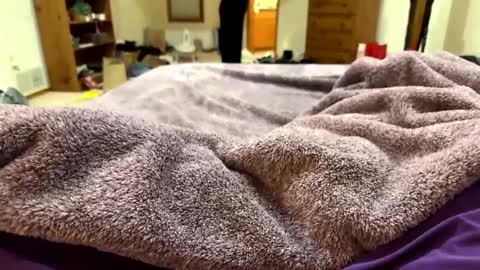 brandondot online show from 12-16-24, 07:26