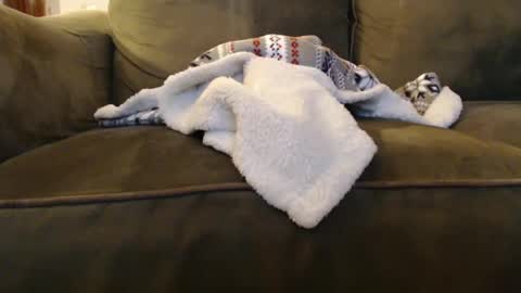 brandondot online show from 12-31-24, 08:04