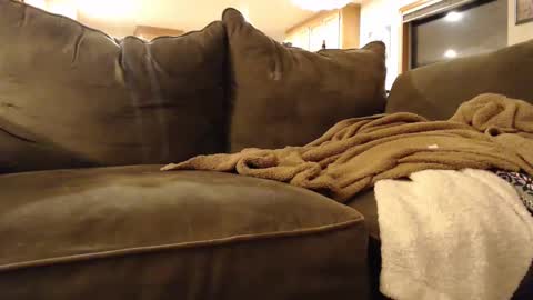 brandondot online show from 02-03-25, 05:51