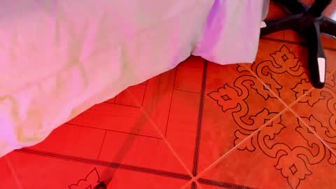   online show from 12-18-24, 04:17