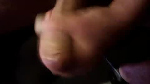 Breeder online show from 09-28-25, 10:04