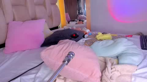 Branda online show from 02-23-25, 02:35