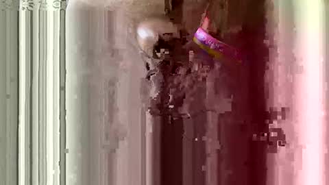 brewfan65 online show from 10-24-25, 08:49