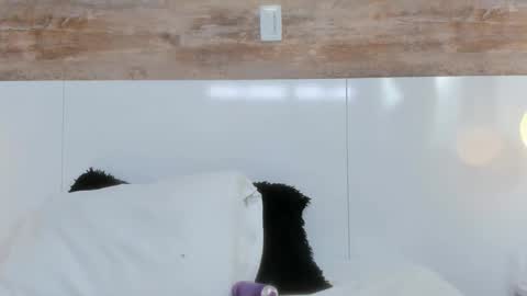 brianna_beltran online show from 04-12-26, 11:04