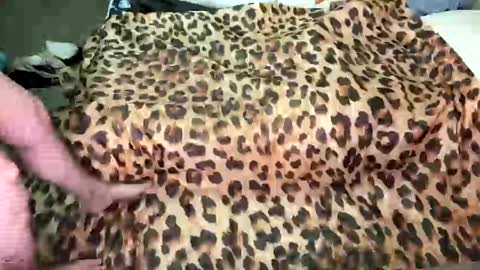 Breezy Xo online show from 11-27-25, 02:35