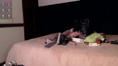 Snapshot of brigith24 chatting on 12-16-25, 04:06 Brigith online show from 12-16-25, 04:06