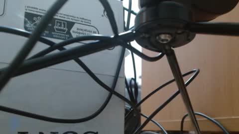 Snapshot of brigittebia777 chatting on 10-10-25, 03:38 brigittebia777 online show from 10-10-25, 03:38