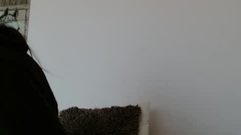 Snapshot of brigittebia777 chatting on 10-24-25, 10:11 brigittebia777 online show from 10-24-25, 10:11