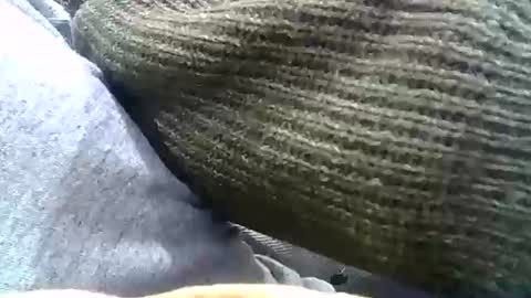 Snapshot of brilliant7 chatting on 12-31-24, 02:29 Josh online show from 12-31-24, 02:29