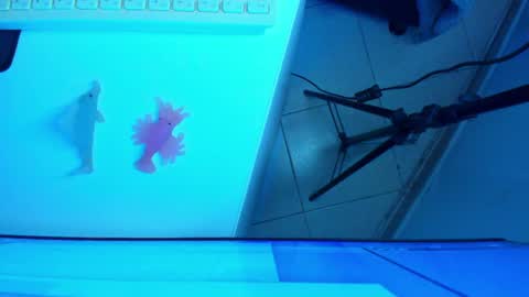 Snapshot of britanny_jones1 chatting on 07-03-26, 10:21 B R I T A N N Y online show from 07-03-26, 10:21