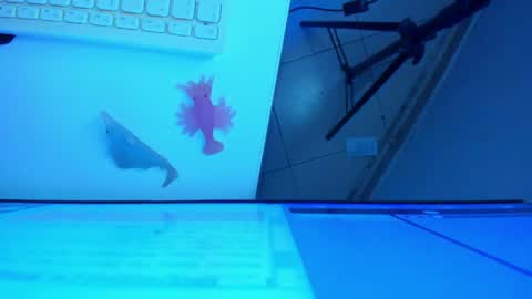 Snapshot of britanny_jones1 chatting on 07-19-26, 10:08 B R I T A N N Y online show from 07-19-26, 10:08
