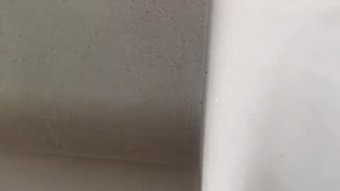 Brittany  online show from 09-20-25, 03:35