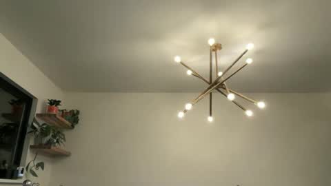 Bruce online show from 04-12-26, 04:39